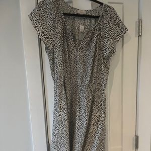 NWT Loft outlet dress